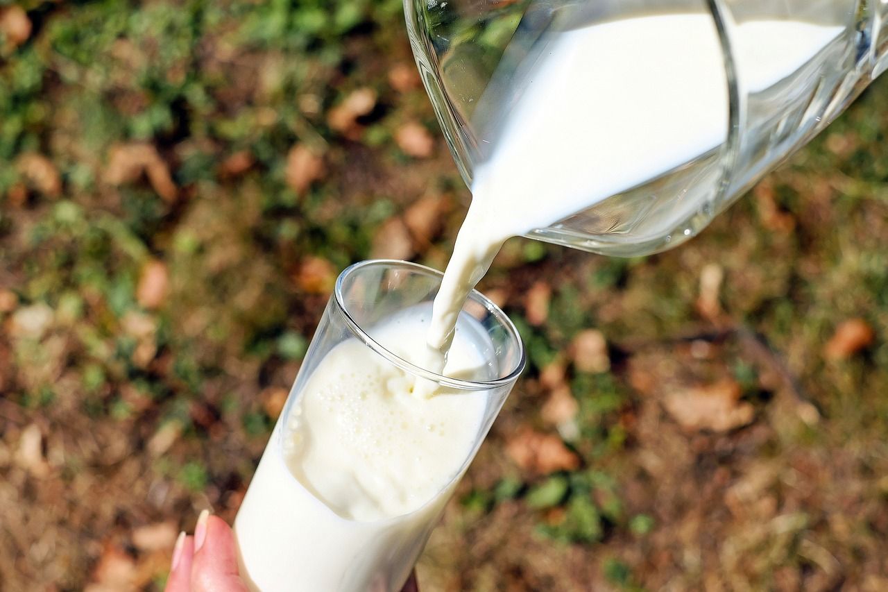 Ekologiczne mleka roślinne: jak wybrać i gdzie kupić?